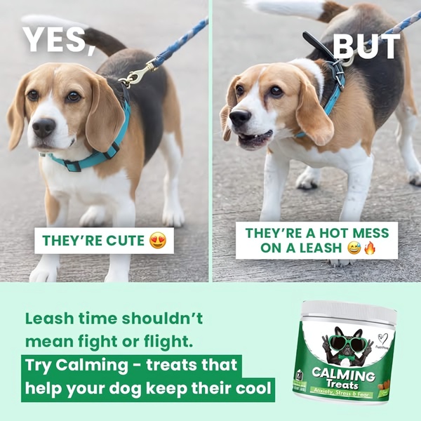 A side-by-side comparison showing a cute dog versus a stressed dog on a leash to introduce a calming treat product solution.